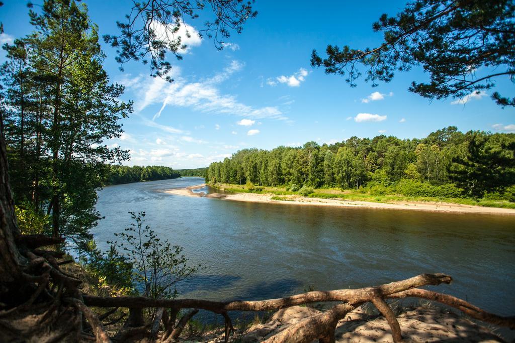 Вілла Sveciu Namelis Друскінінкай Екстер'єр фото
